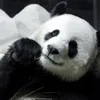 huyhoang.67899