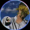 hayollar___06