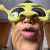 mr_dikken_jurhas