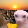 dormamuowo