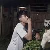 dimasalfarizz