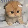 my_nek215