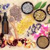 stellamarisapothecary