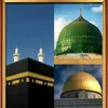 ChampionJamil_313