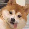 oh_kurwa11