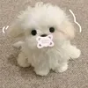 han_xincha0