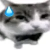 quyngaifelix