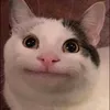 userotuq58bcb5