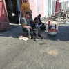 zhfgh5