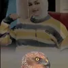 dhvcfyj1277