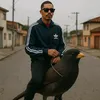baianorei_