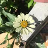 mangcut_0910