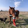 www.tiktok.soraver