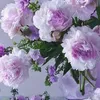shamsherali6983