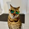 horus_ua4
