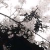 lx0_2112