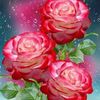 user8tkkhjf716