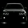 babayev_pbg