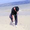 seifhassan338