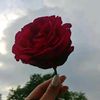 sheraz_sa