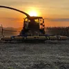 agrarvideosom