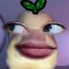 shrly_dwiaa