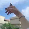 طيفَہ |١٤٢٤ه‍َـ
