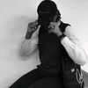 lisky_pixel
