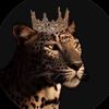 nonaahmed5433