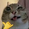 rougey_3