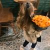 aicha4077