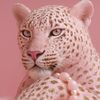 private21_2