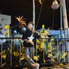 tonyirfan123