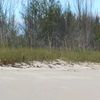 bahamaboss