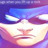 niokapra_epic