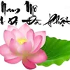 v.thng036