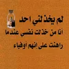 bher358