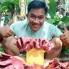 suryadiocen38
