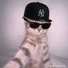 not_dasha21