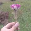 ewwmoc02