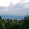 arjunna_40