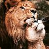 mohameed12_12