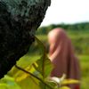 v3_hjrfisblillah