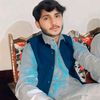 alihassan8751