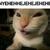 vxiivyle
