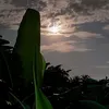 pacat_777