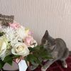 egor.7419