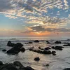 thanhnha2246