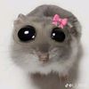 khamphouvong.amph