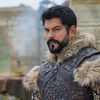 cumar_kuluc40